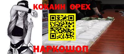 стаф Гай