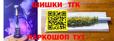 стаф Гай