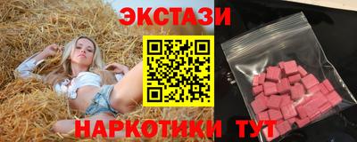 стаф Гай