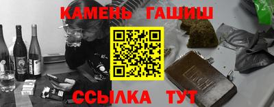 стаф Гай