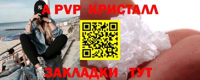 стаф Гай