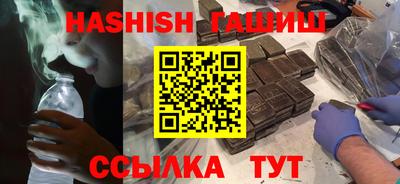 стаф Гай