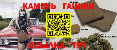 стаф Гай