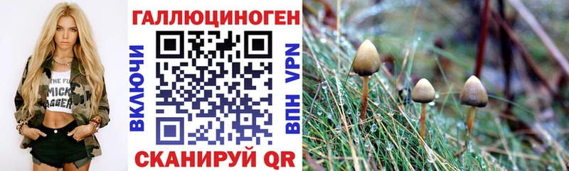 Псилоцибиновые грибы мухоморы  площадка официальный сайт  Чистополь 