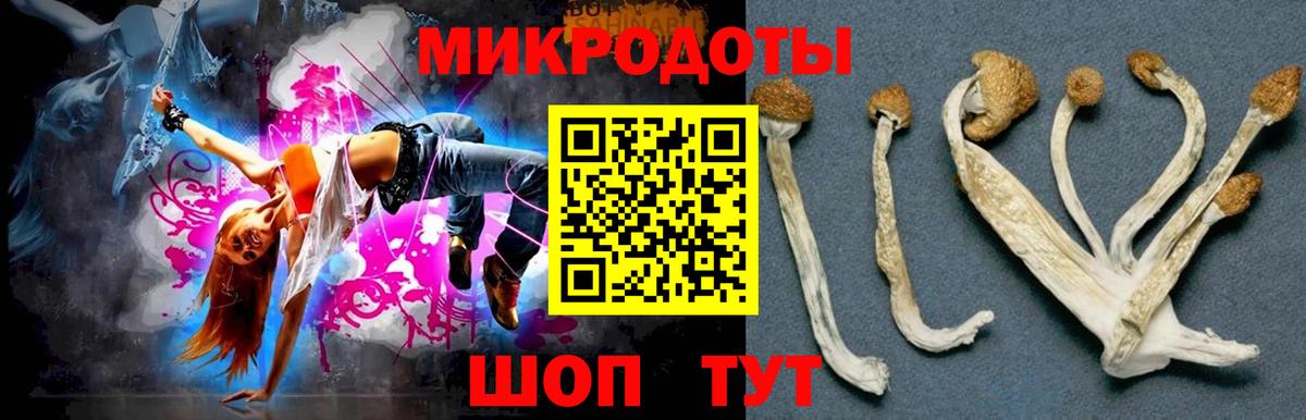 Псилоцибиновые грибы Cubensis  Вход с VPN  Псилоцибиновые грибы MAGIC MUSHROOMS  Чистополь 