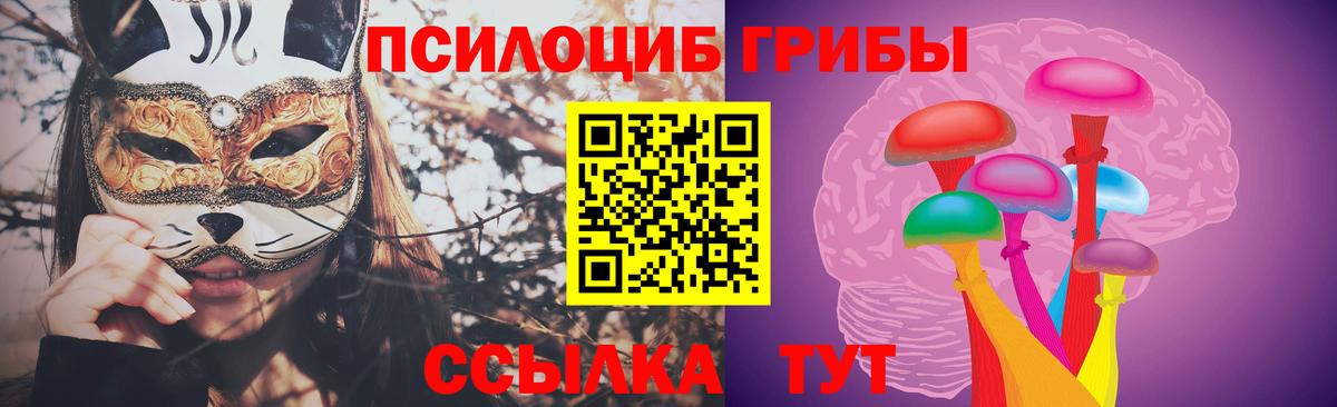 Галлюциногенные грибы мухоморы Чистополь